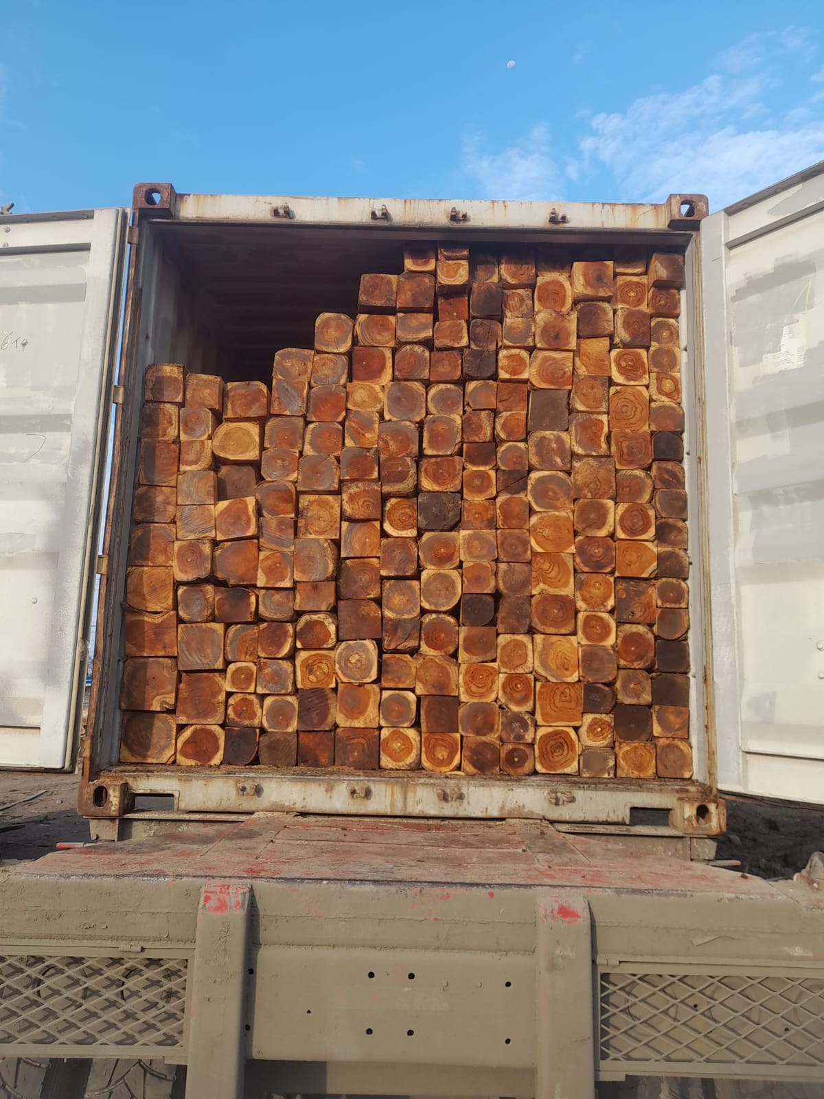 Premium teak square log