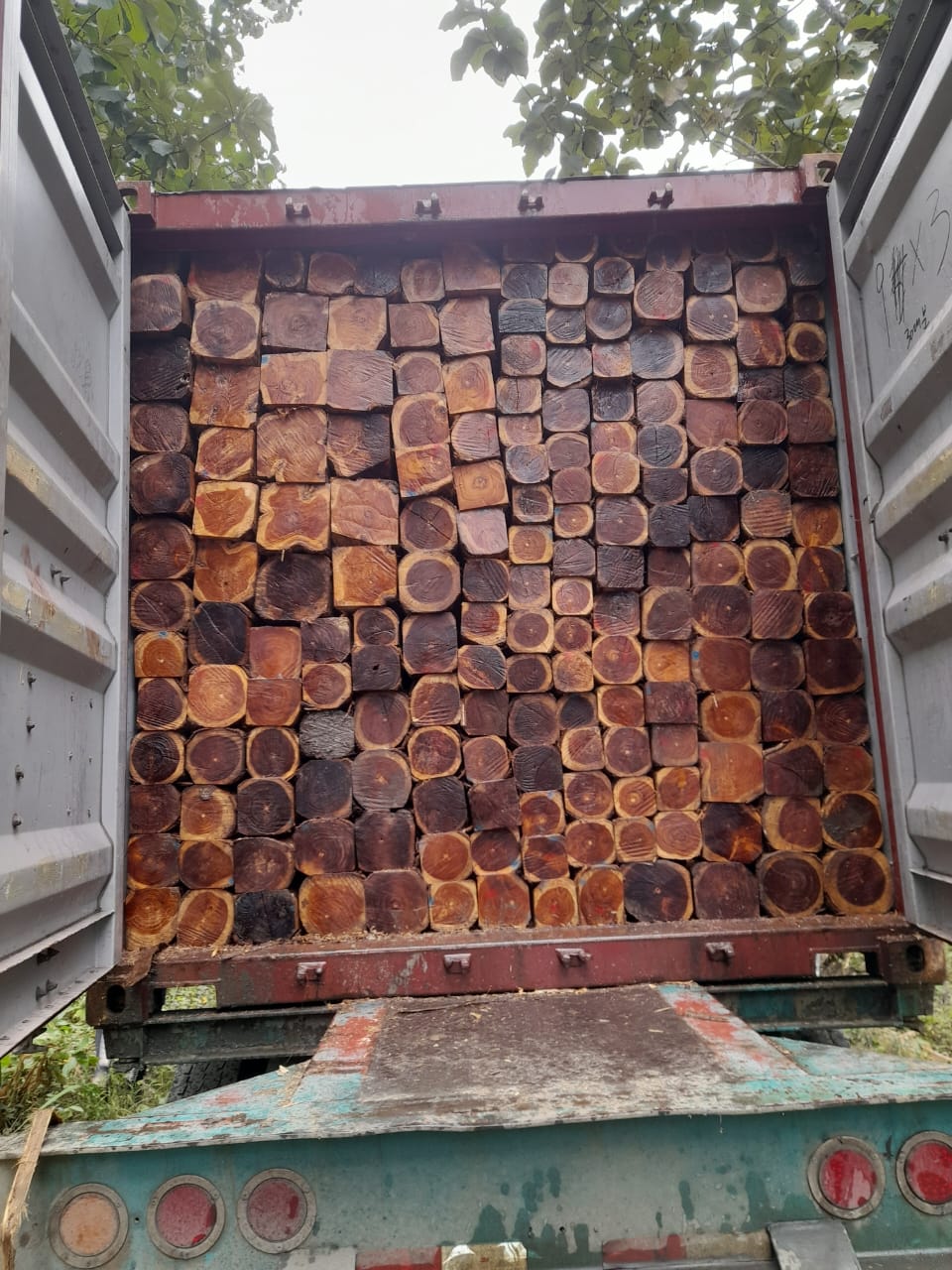 Teak log ready for export